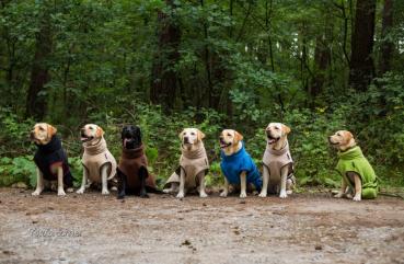 „Dryup Cape“ Trockencape - Hundebademantel